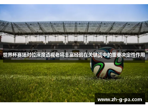 世界杯赛场对位深度透视老将丰富经验在关键战中的重要决定性作用