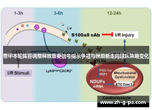 意甲本轮阵容调整释放重要信号揭示争冠与保级新走向球队策略变化