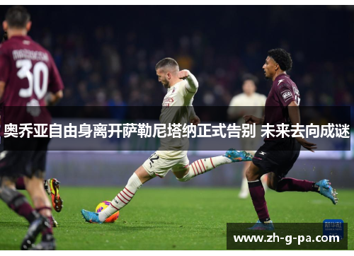 奥乔亚自由身离开萨勒尼塔纳正式告别 未来去向成谜 奥乔亚自由身离开萨勒尼塔纳正式告别 未来去向成谜